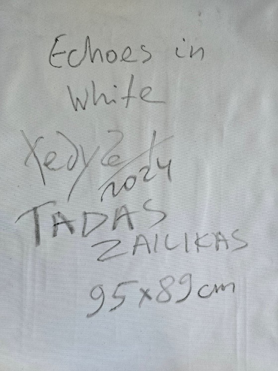 Image 1 of Tadas ZAICIKAS - Echoes in white - Toile d'artiste