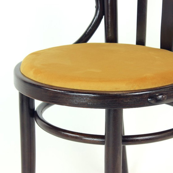 Image 1 of Michael Thonet No. 24 Bentwood Armchair By Ton, Czechoslovakia 1950s