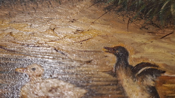 Image 1 of Topstuk: Authentieke Jan Hendrik Verburgh – "Familie Eenden" – Monumentale 19e-eeuwse Biggs & Sons Lijst