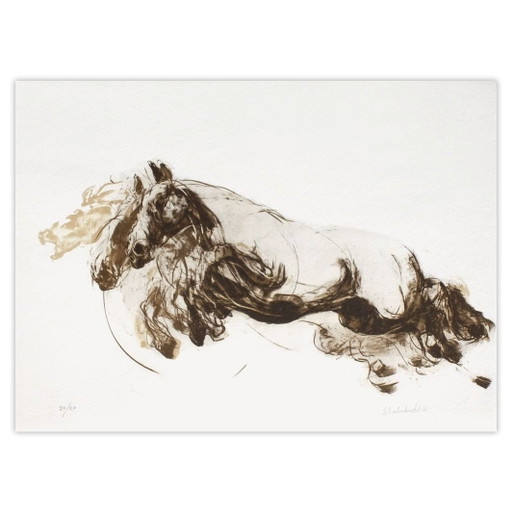 Gesigneerde lithografie van Ahmed Shahabuddin, Galop II 2005 – lithos zeefdrukken, Paper (photo 2 of 5)