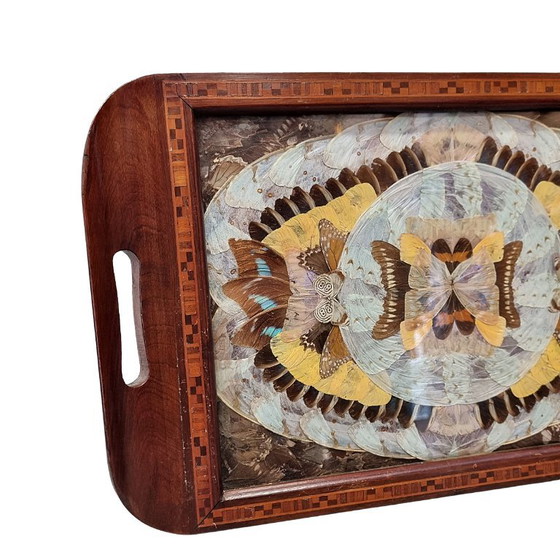 Antiek Art Deco dienblad met echte vlindervleugels – Tafelaccessoires, Wood (photo 3 of 6)