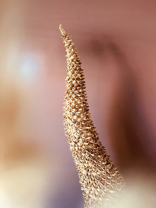 Très unique ! Grande lampe Boho