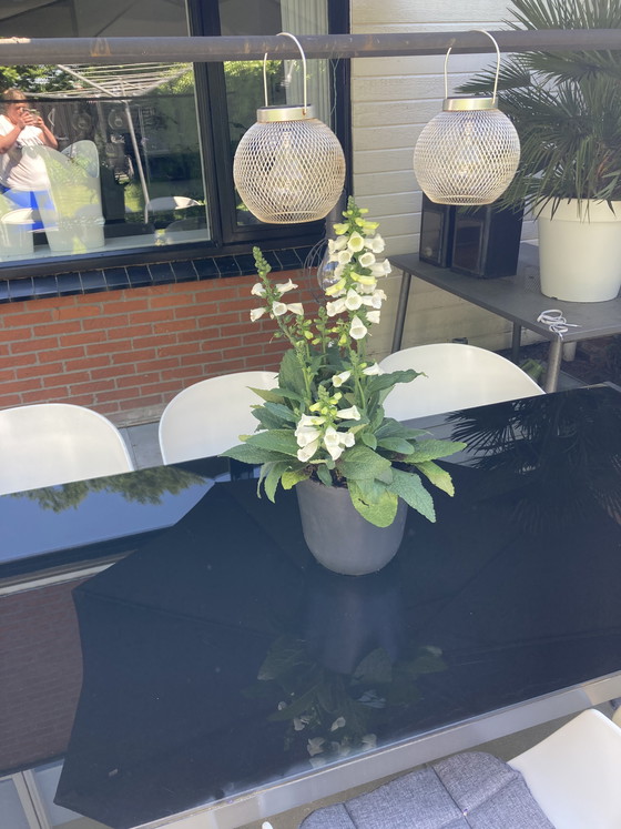 Image 1 of 6 chaises baquets italiennes Orbit Large Sintesi