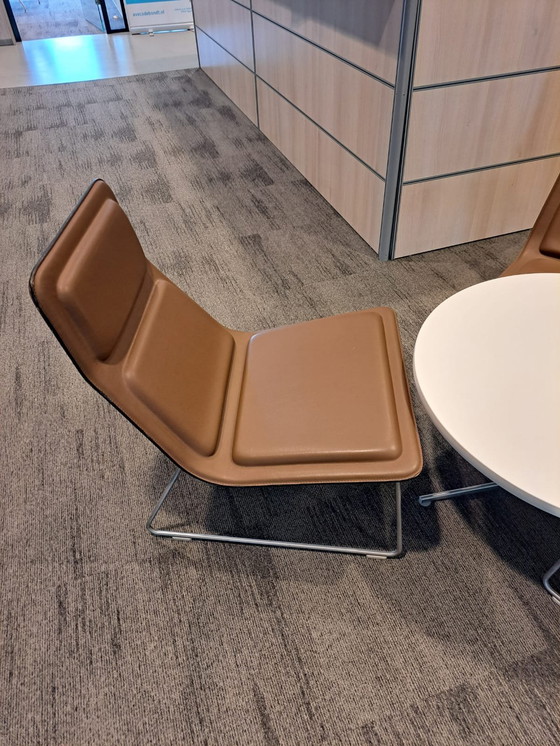 Image 1 of 3x Poltrone basse Cappellini