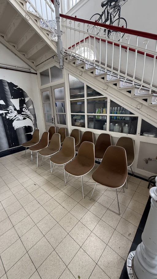 12x Eames Fiberglass Side Chair DSX (vitra // hermanmiller )