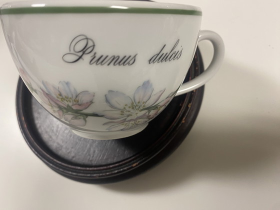 Image 1 of Apilco Elysian Garden Tableware