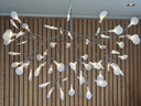 Moooi hanglamp Heracleum II Large Nikkel