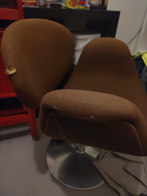 Image 1 of Sedia Artifort Tulip marrone. Comoda. Un po' rovinata. Possibilità di rivestimento.