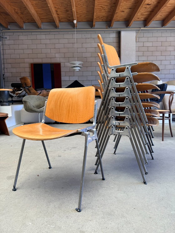 Castelli DSC106 chair, Giancarlo Piretti (stock: 8) – Dining chairs, Wood, Aluminium (photo 2 of 10)