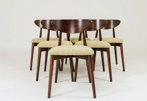 Esstischstühle 6er Set scandinave design grün nebula