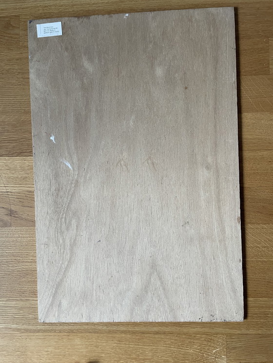 Image 1 of Ted Moorrees su pintura sobre tabla "La Liberación", 1995