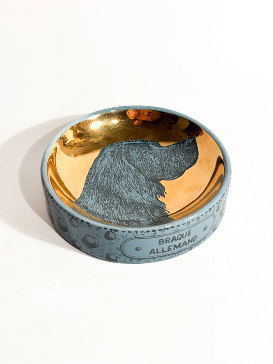 Cuenco de cerámica para perros con la figura de un braco alemán de pelo corto, de Piero Fornasetti, década de (photo 2 of 6)