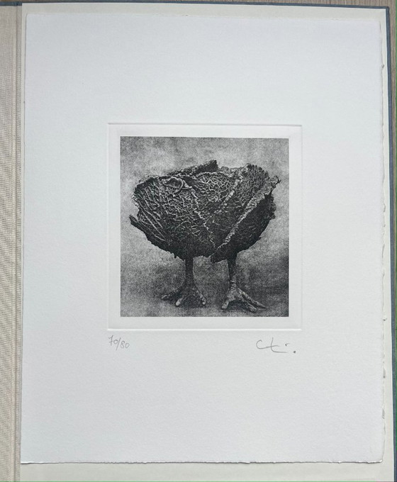 Image 1 of Originele prent, gesigneerd met potlood door Claude Lalanne.