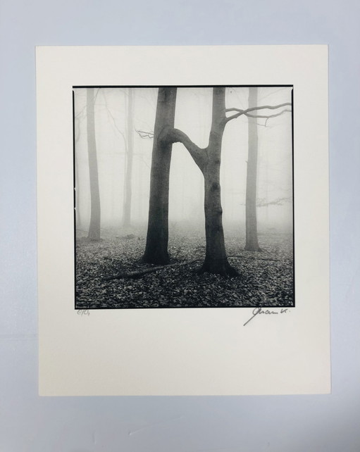 Ralph Janowski - Photo print