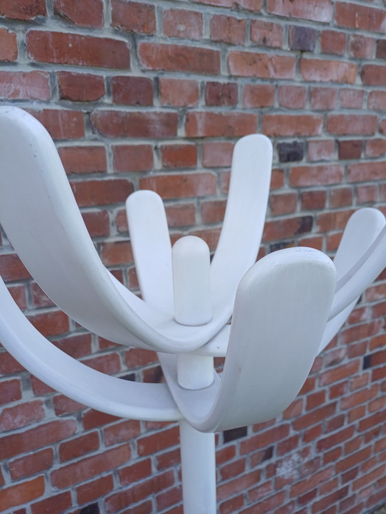 Image 1 of Kaktus-Garderobe