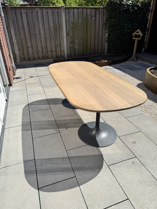 Artifort Clarion Boat-shaped Dining Table of Oak Veneer