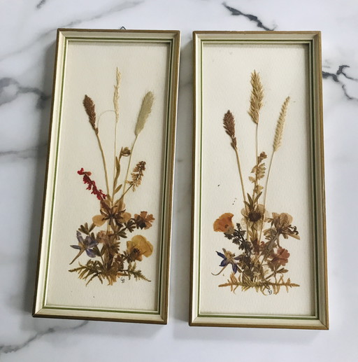 GDR dried flower frames