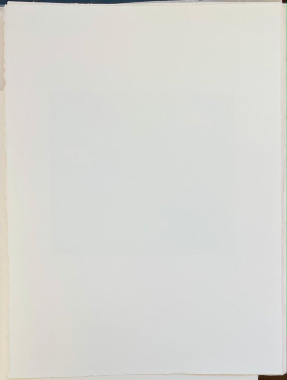 Image 1 of Francois-Xavier Lalanne (1927-2008) Burro (Burro cargado), 2002