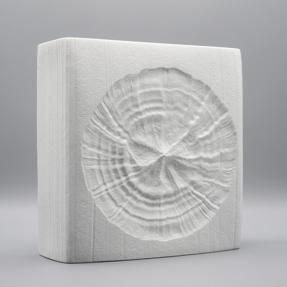 Image 1 of Martin Freyer Rosenthal Studio Line Bisque Porcelain Vintage H 24 cm Fossil Vase