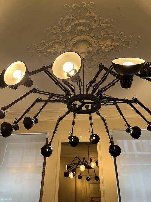 Dear ingo spider luster