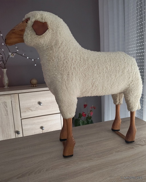 Hanns Peter Krafft Sheep