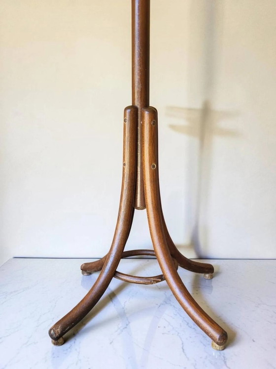 Appendiabiti a pappagallo in legno curvato di Thonet – Wood, Art Deco (photo 4 of 8)