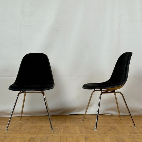 Image 1 of Vintage Herman Miller DSX glasvezel stoel van Ray & Charles Eames, 1971 - Mid Century Modern Icoon, zwarte bekleding