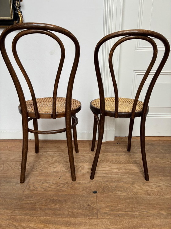 Image 1 of Set di 5 sedie Thonet n. 18 di ZPM Radomsko
