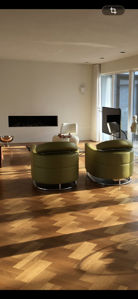 2 wunderschöne Designer-Sessel – Leolux, Leather, Metal (photo 3 of 5)