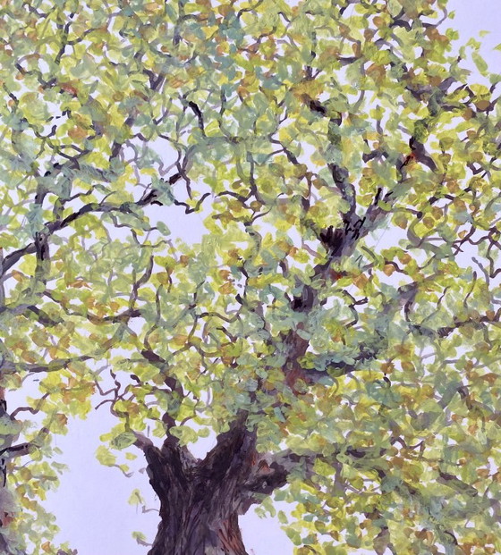 Young Green – Peintures et dessins, Paper (photo 5 of 6)