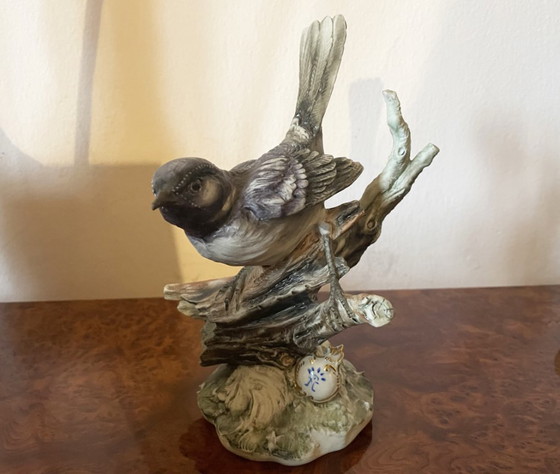 Image 1 of Capodimonte – Passerotto di Marfò