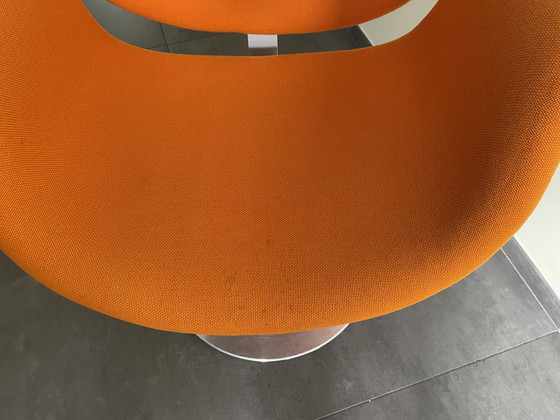 Image 1 of 4 x Tulip Artifort.