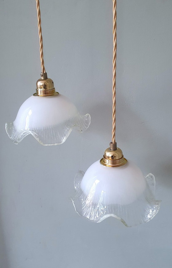 Set di 2 lampade a sospensione vintage in vetro bianco satinato, forma floreale, texture – Metal (photo 7 of 23)