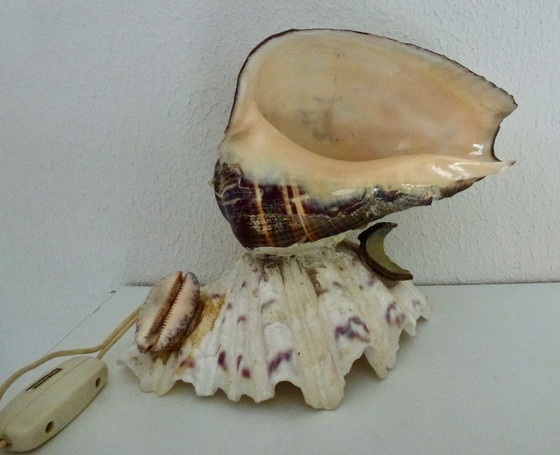 Image 1 of Preciosa lámpara hecha con una concha de abulón antigua.