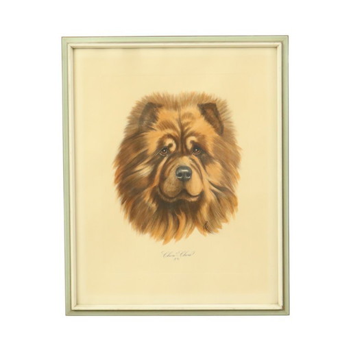 Vintage Kleuren Litho Hond Chow Chow