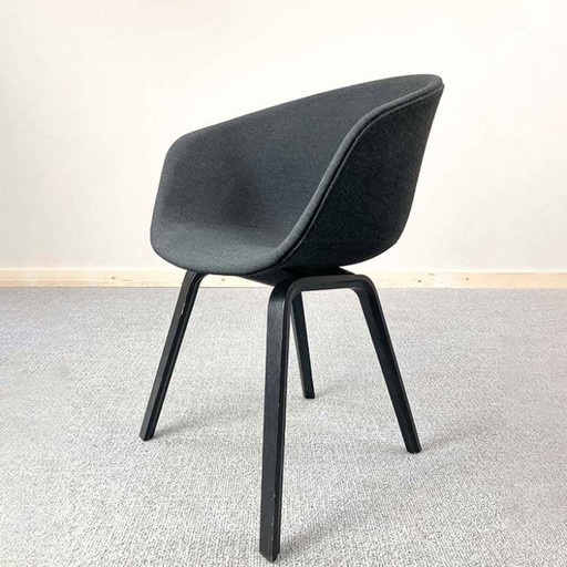 Hay Aac23 Meeting Chair