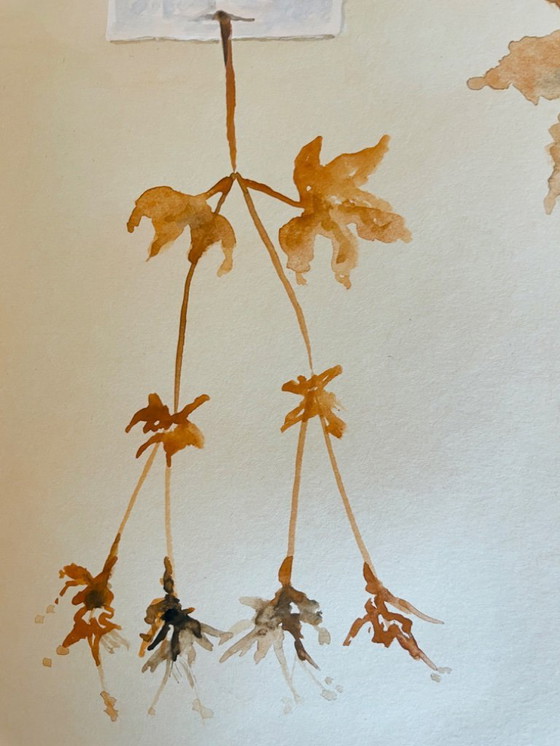 Image 1 of Signed watercolor painting from the Herbiers collection in trompe l'oeil