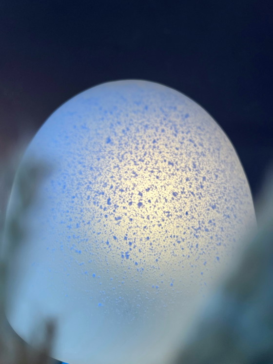 Image 1 of Lámpara de mesa con forma de seta de Peill & Putzler