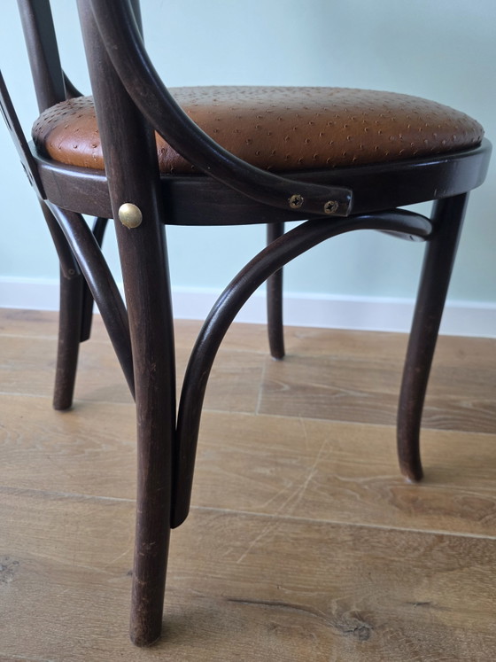 Image 1 of Chaise de café Satellite de style Thonet avec structure en autruche