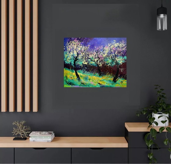 Image 1 of Appletrees