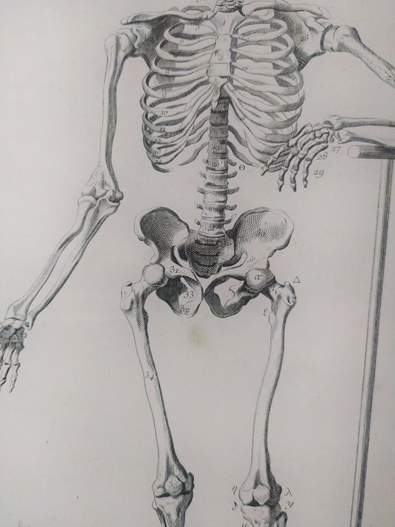 Image 1 of John Derian decoupage art wall plate