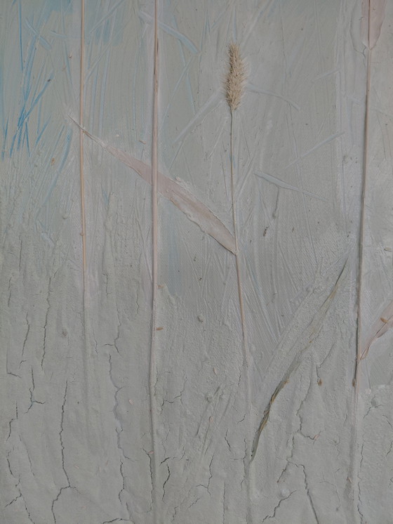 Image 1 of "Glory of Seeds" by Gallery Suncorner