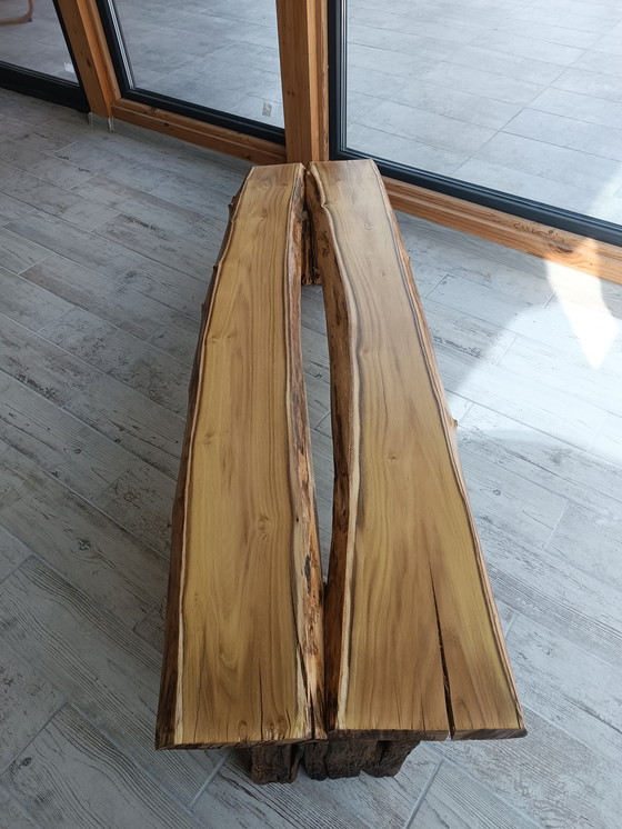 Image 1 of Sylvan Origin - Der Geist des ungezähmten Vermächtnisses