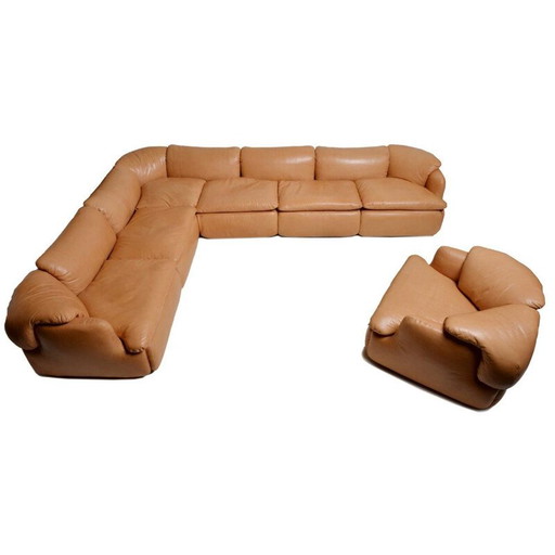 Divano vintage in pelle marrone di Rosselli per Saporiti in fibra di vetro 1970