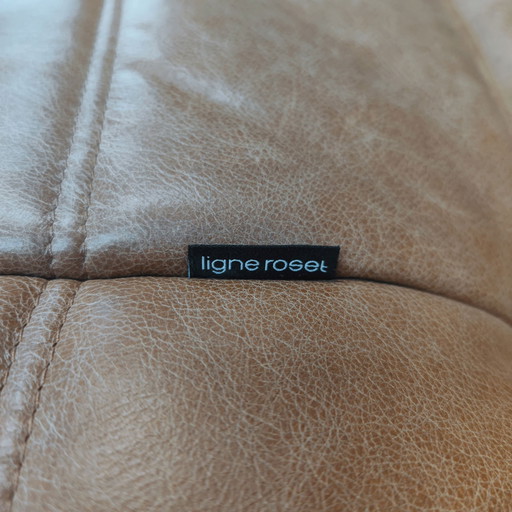 Ligne Roset Togo - Cognac