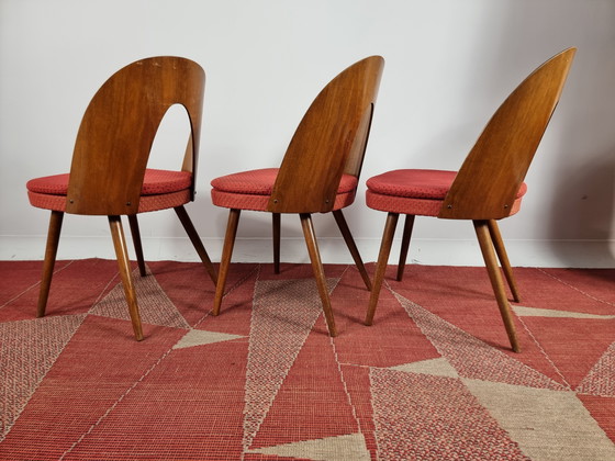 Image 1 of Vintage Chairs By Antonin Suman, 1960S, Set Of 3