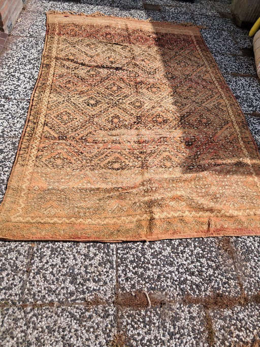 Handgeknoopt Berber kleed wol 267x166cm