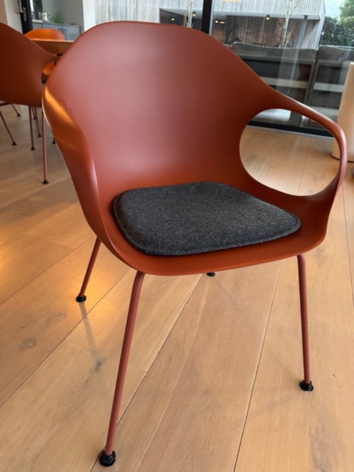 Sedia da pranzo Kristallia Elephant