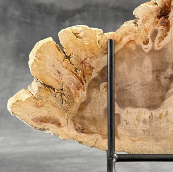 Image 1 of Madera fosilizada de Sooka, soporte hecho a medida (nuevo)