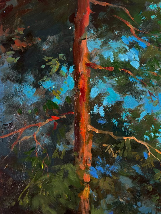 Original Oil Painting Nature Landscape Walk in the Forest – Paintings & Drawings, Mdf (photo 5 of 9)